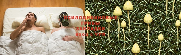 ПСИЛОЦИБИНОВЫЕ ГРИБЫ Яранск